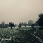 KAKI-NOV-2012